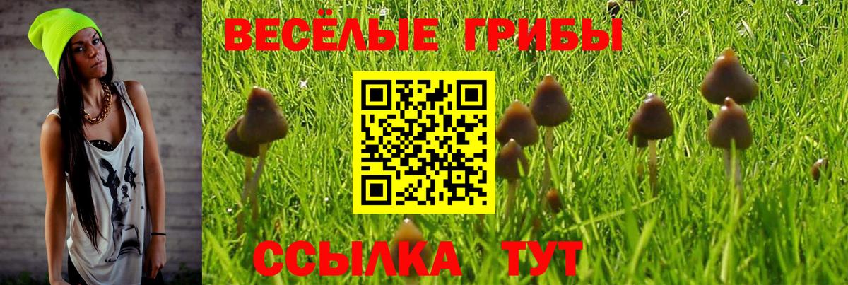 Знаменск  Галлюциногенные грибы Cubensis  Вход с VPN 